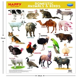 Happy Wall Chart Domestic Animals F0084